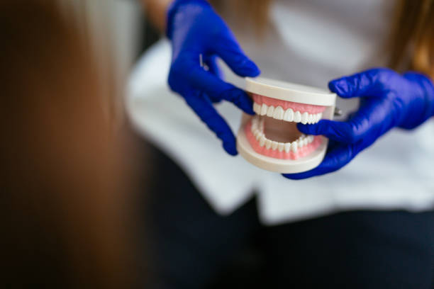 Reliable North Salt Lake, UT  Holistic Dental Services Solutions